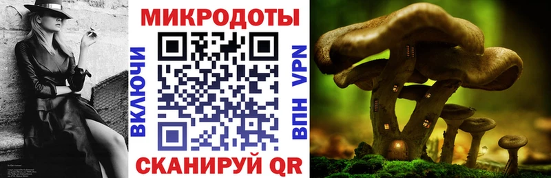 Псилоцибиновые грибы Magic Shrooms  Абаза 